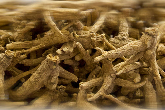 真参 · 三年原枝花旗参 16 oz