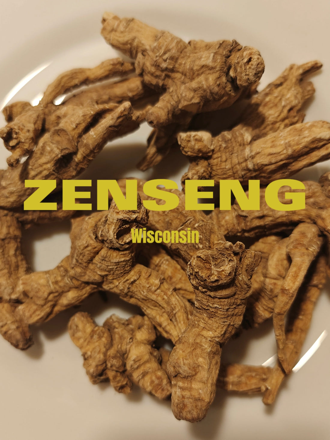 真参 · 在北纬43度生长的花旗参