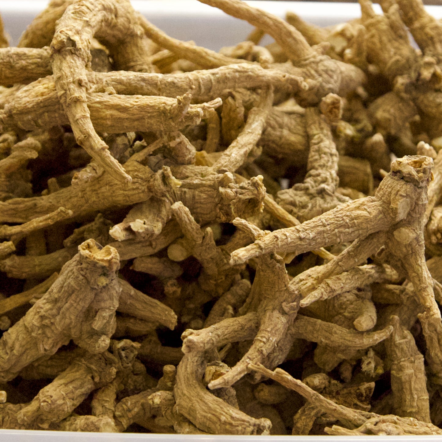 Three-Year American Ginseng 4 oz