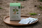 American Ginseng Tea Sachets - 15 counts